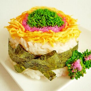 菜の花寿司